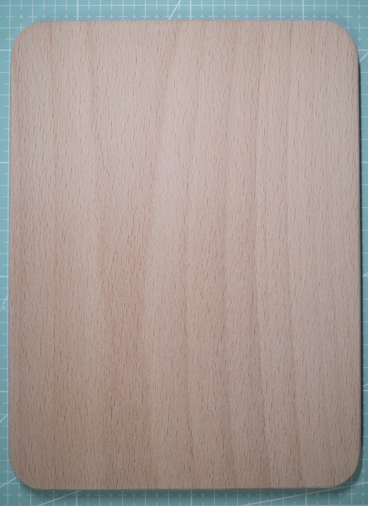 木の物語(カスタムオーダー)