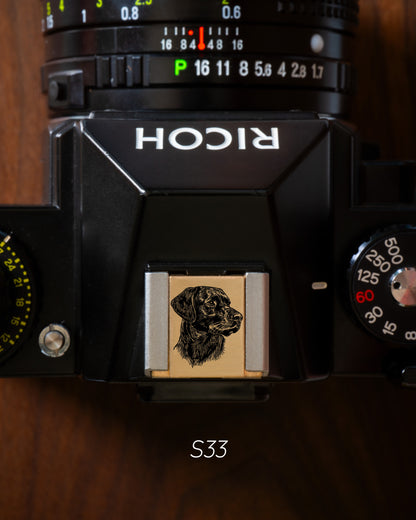 ホットシューカバー（うちの子編Vol.4）